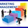 Marketing or Sales Management / PM
