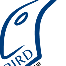Vinod P