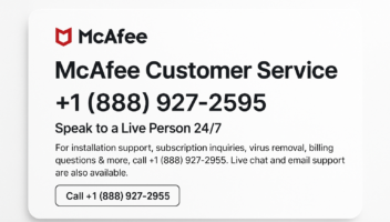 Service 