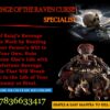 I Need a Powerful Revenge Spell to Fight My Enemy: Try These Voodoo Revenge Spells Today and Get Results in 24 Hours +27836633417