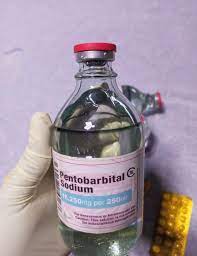 Service 